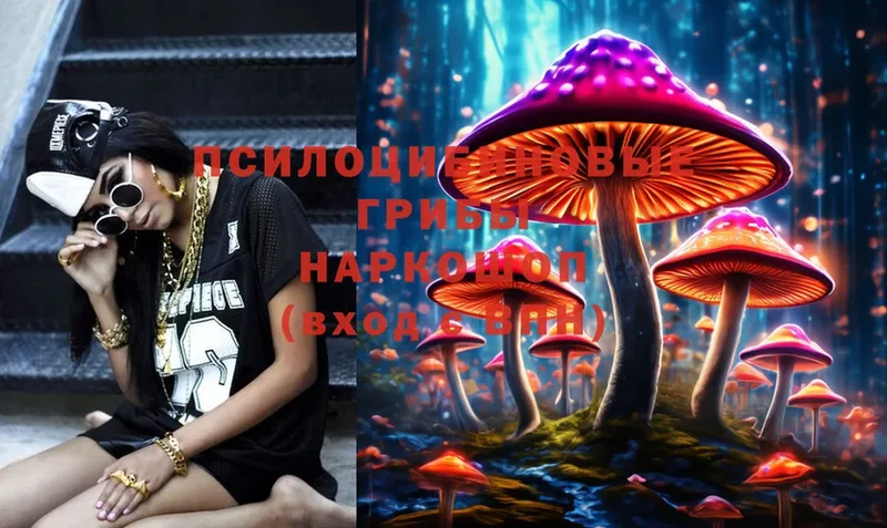 купить наркотик  Карабаш  Псилоцибиновые грибы Psilocybine cubensis 